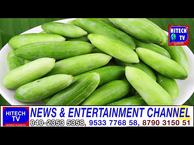 Discover the POWER of Coccinia for Optimal Health