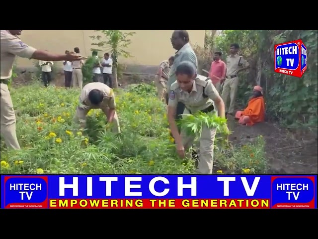 DPEO Sangareddy Team Arrested One Accused Who Illegal Cultivate Of Ganja Plants.