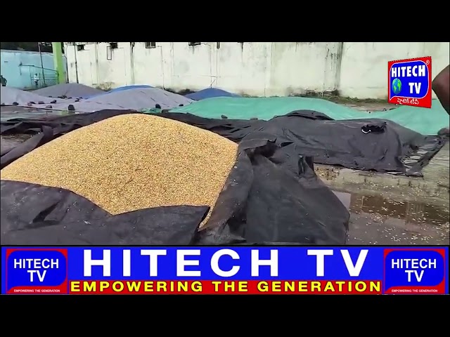 Adilabad: Farmers Facing Problems Due to Sudden Rain Destroyed Crops & Agriculture in Booth Mandal.