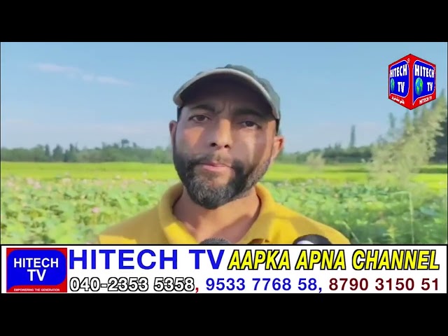 Jammu & Kashmir: Budgam Farmer Pioneers Lotus Cultivation Without Govt Aid & Crop Successsfully